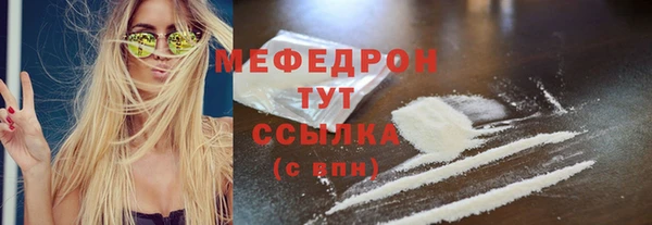 spice Богданович