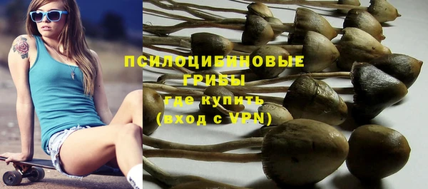 прущие грибы Аксай